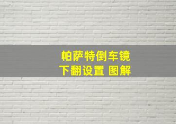 帕萨特倒车镜下翻设置 图解